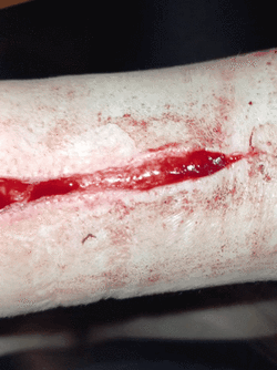GIF_20250602_204920_902.gif